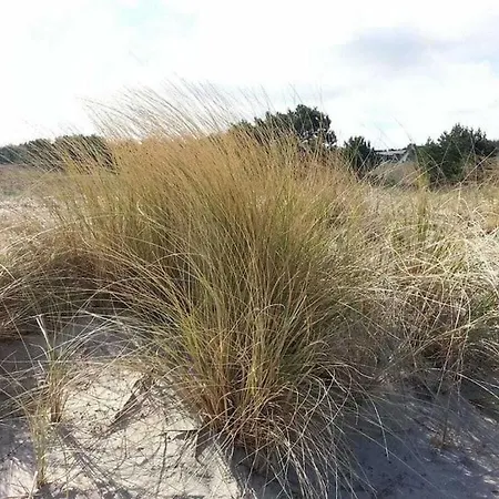 Dune 19 On The Semesterbostad *