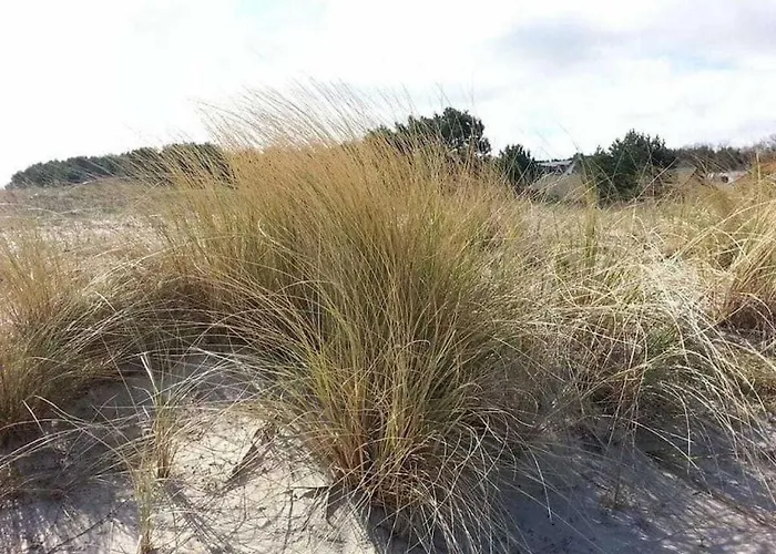 Dune 19 On The Ferienhaus *